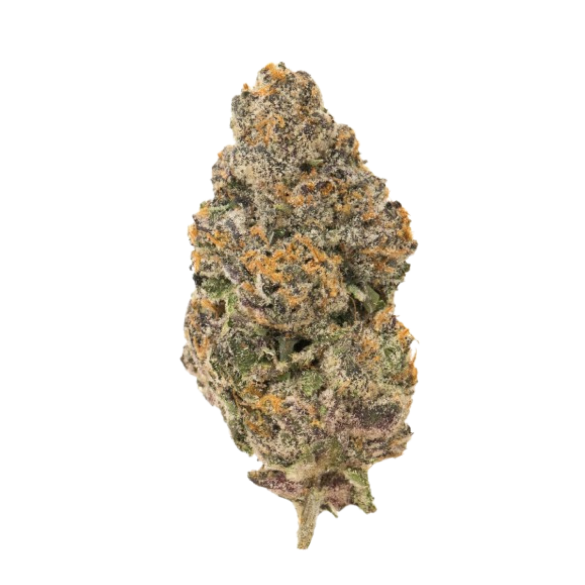 Biscotti THC+ 🍪