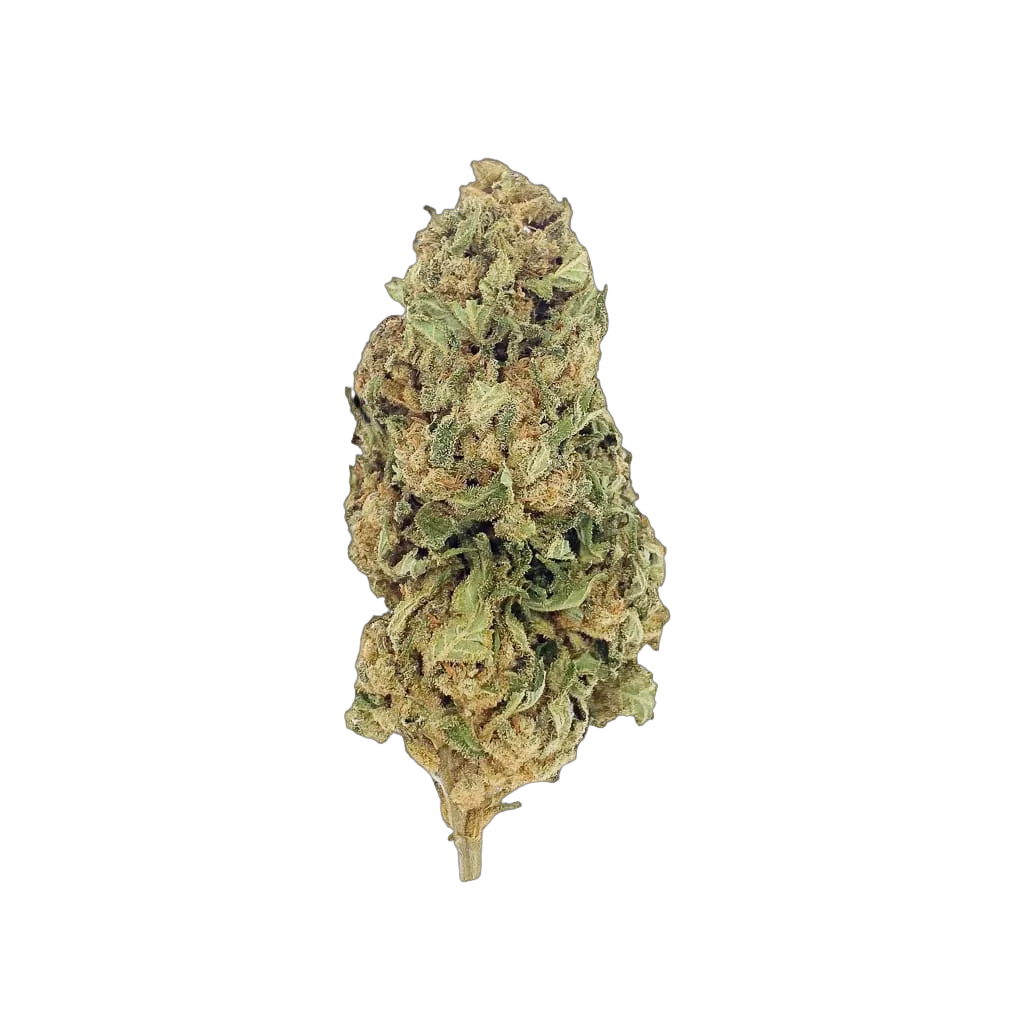 Lemon 10-OH-HHC 🍋