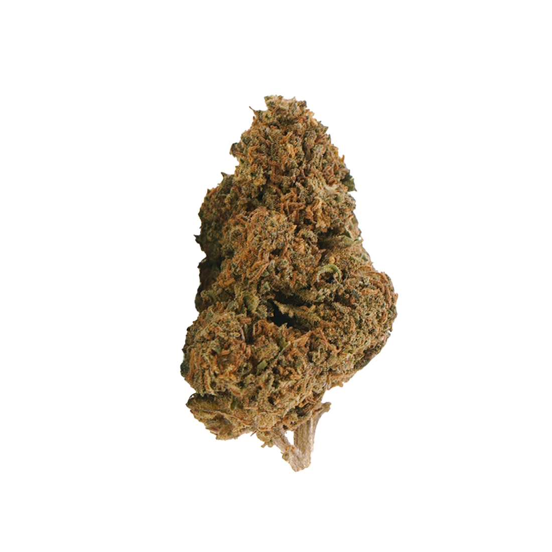 Jack Herer THCX 2.0 🌿