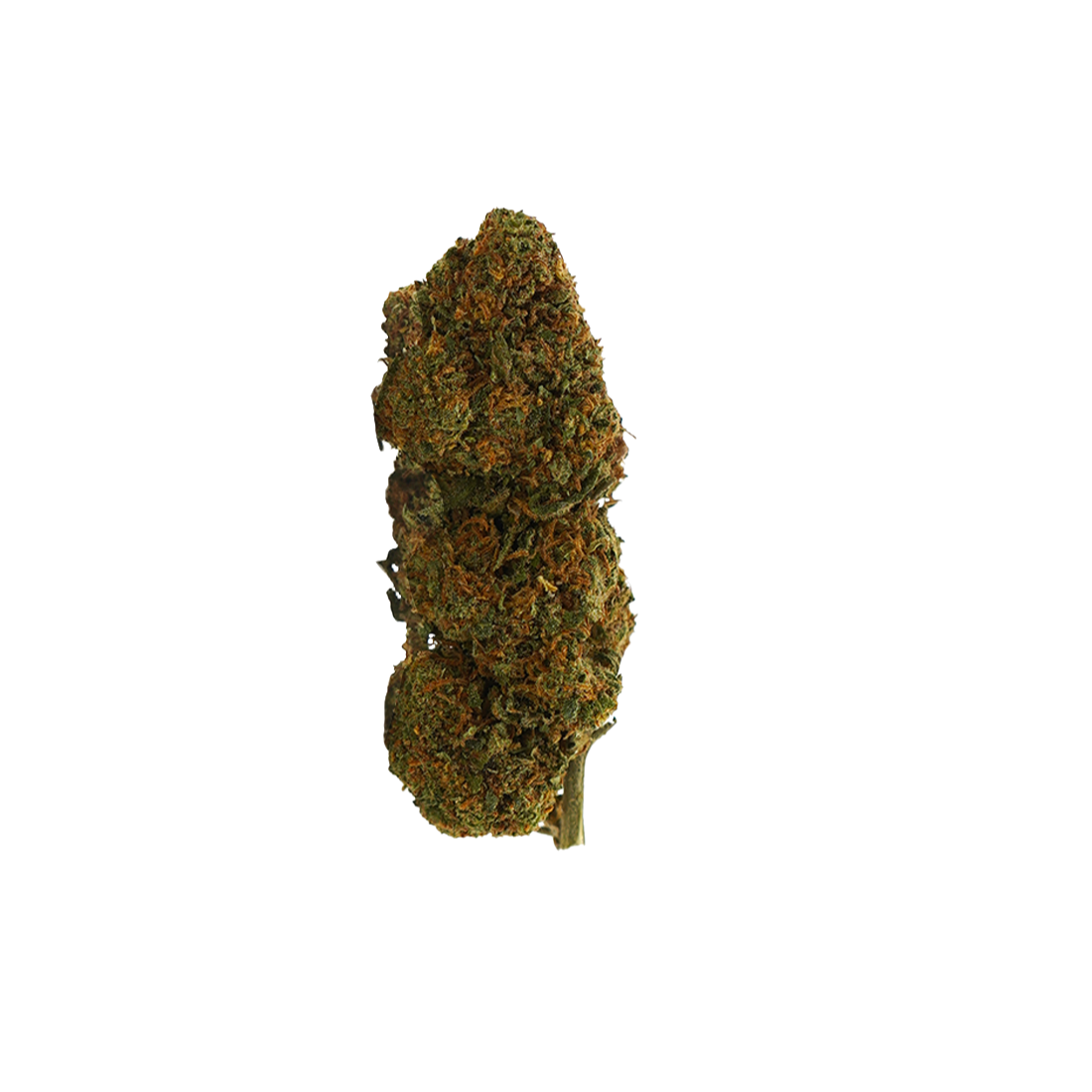 Prime Kush TH-X 👑
