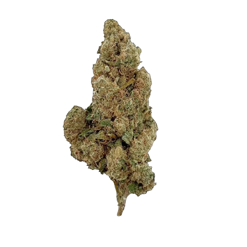 Amnesia 10-OH-HHC 🧠