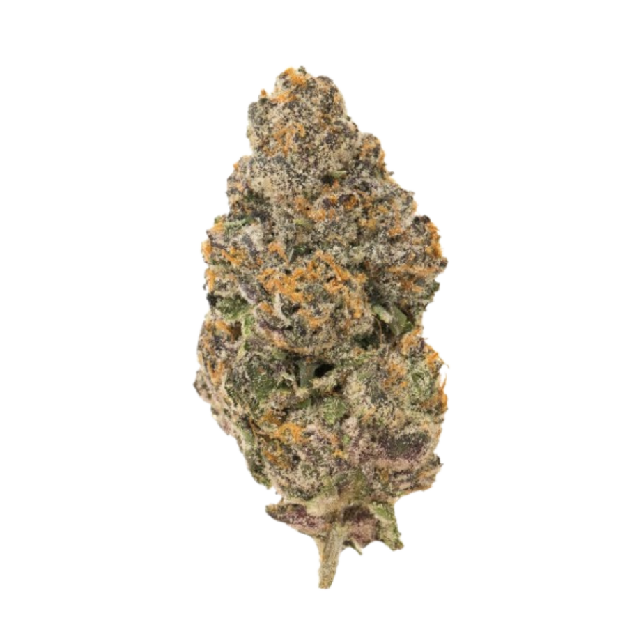 Biscotti THC+ 🍪