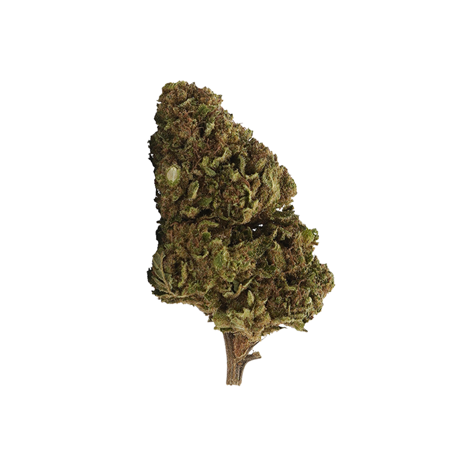 🎁 White Widow 🕸️ 10-OH-HHC (100% off)