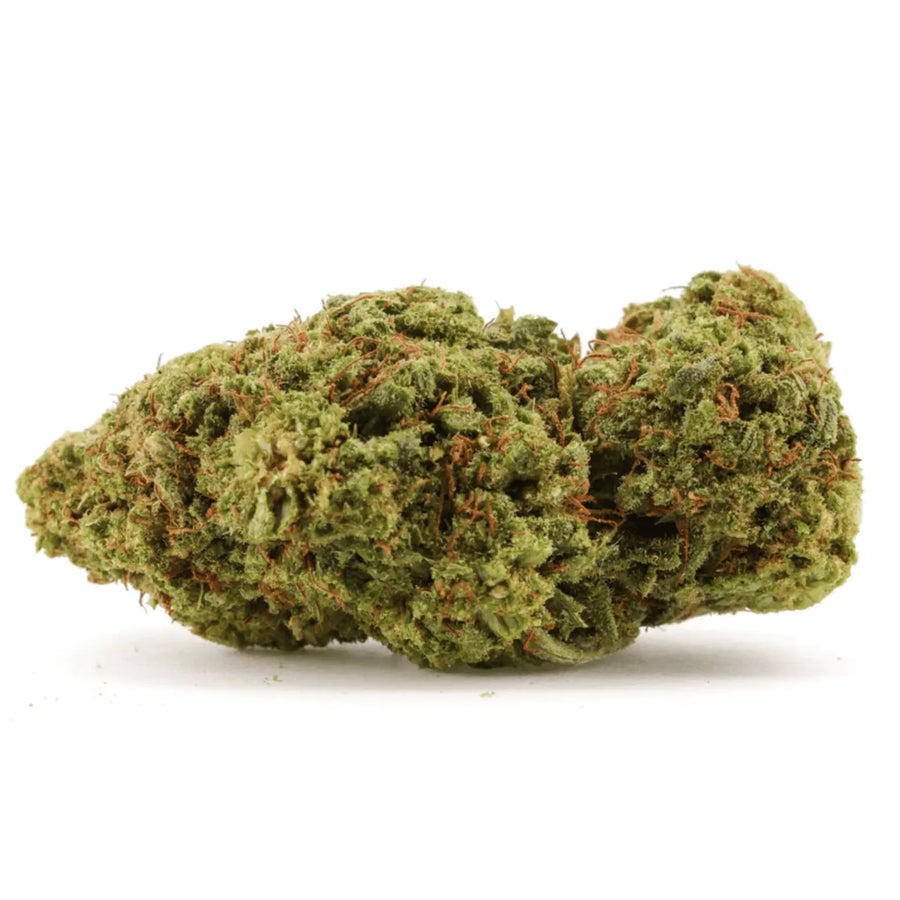 🎁 Orange Bud 🍊 CBX (100% off)