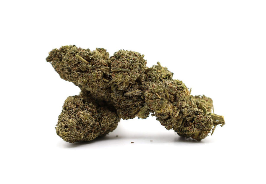 Green Diesel TH-X ⛽