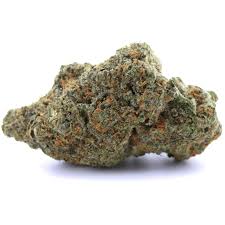 Amnesia CBX 🧠